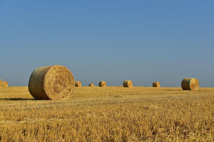 Types of Natural Fertilizers for Europe and Latin America