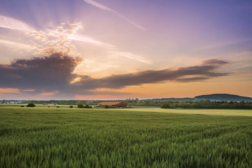 ECOGANIC NANOTECHNOLOGY en arroz en Vietnam: +16% producción en delta 