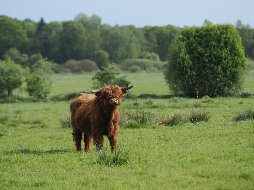 Der Aufstieg der nachhaltigen Landwirtschaft in Lateinamerika: Chancen