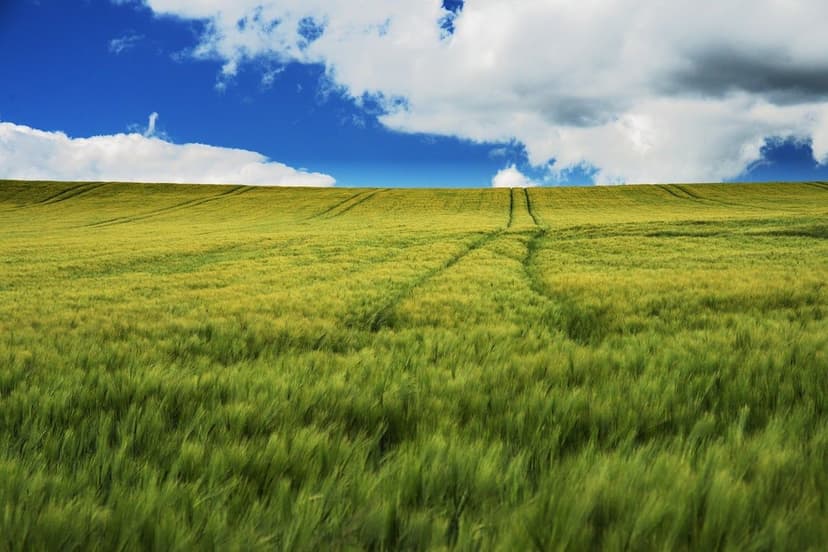 Biostimulants vs Fertilizers: Differences and Advantages