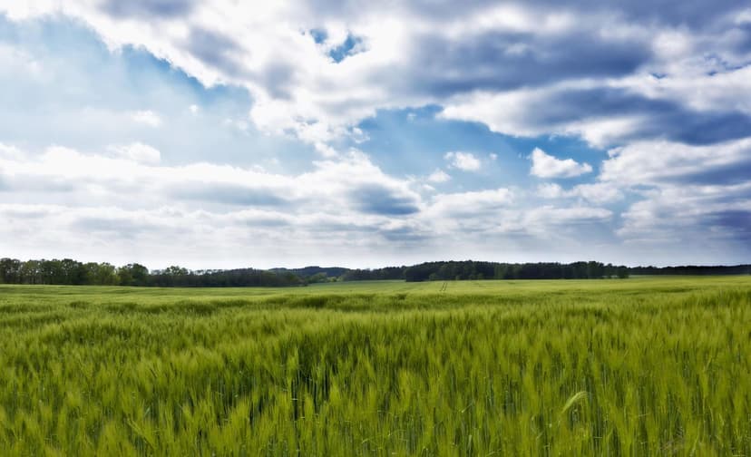 Biostimulants qui renforcent la production dans les cultures européenn