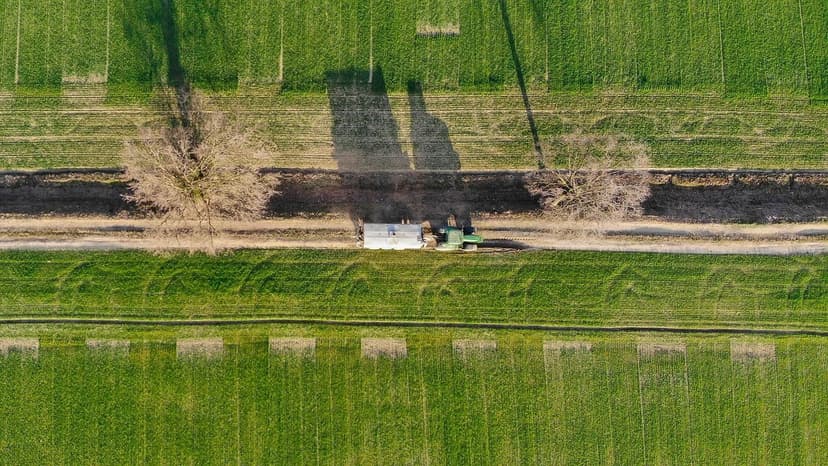 Fertilizzazione Azotata nel Grano: Dosi e Momento Chiave