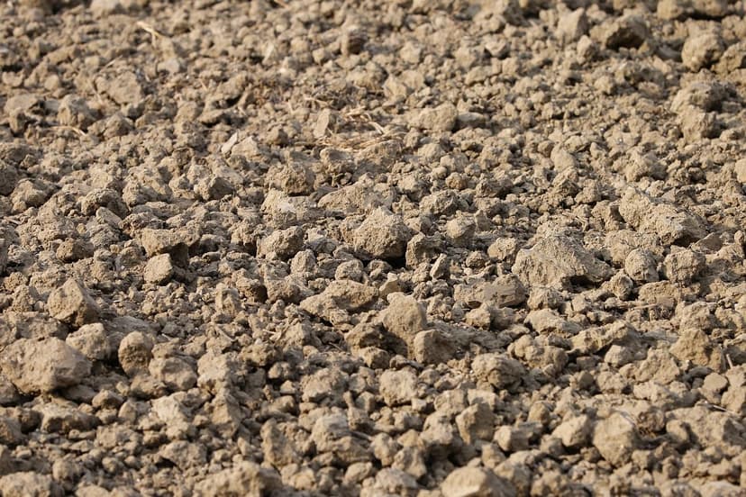 Soil microorganisms: key to healthy crops