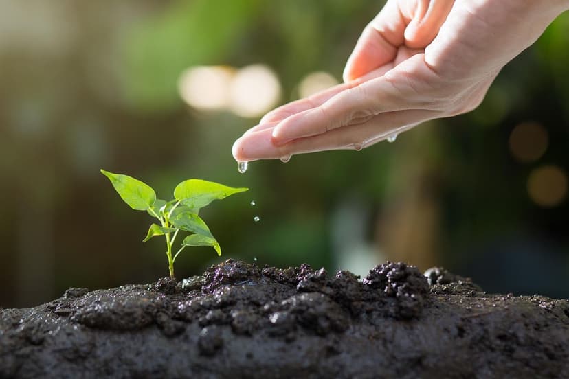 The Gut-Soil Connection: Organic Foods for a Happy Microbiota and a He