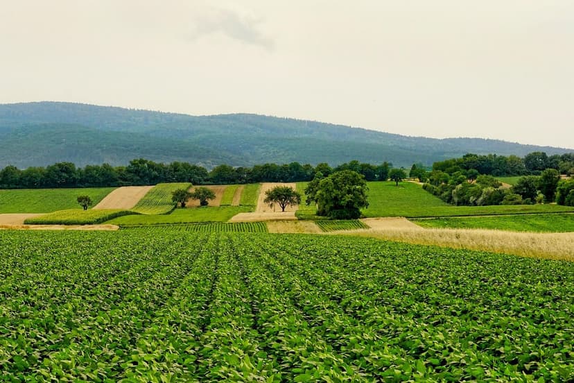 O Futuro dos Fertilizantes: Tendências Globais da Biofertilização na E