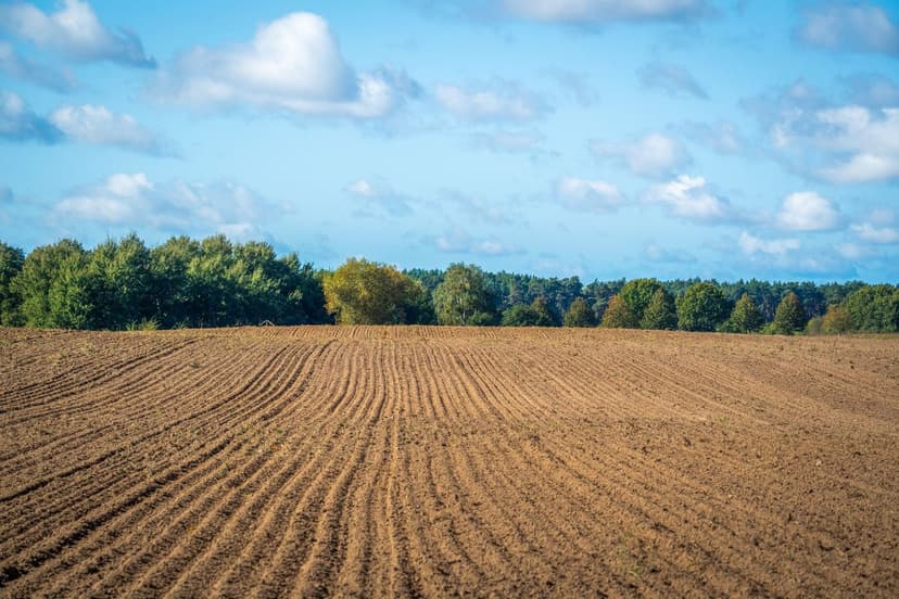 Biological, Organic and Ecological Fertilizers: Sustainable Alternativ