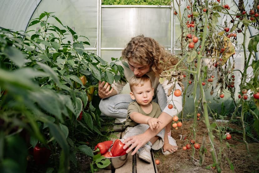 Soil microbiology: the engine of tomato nutrition