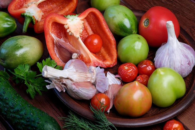Biostimolanti e crescita radicale del pomodoro