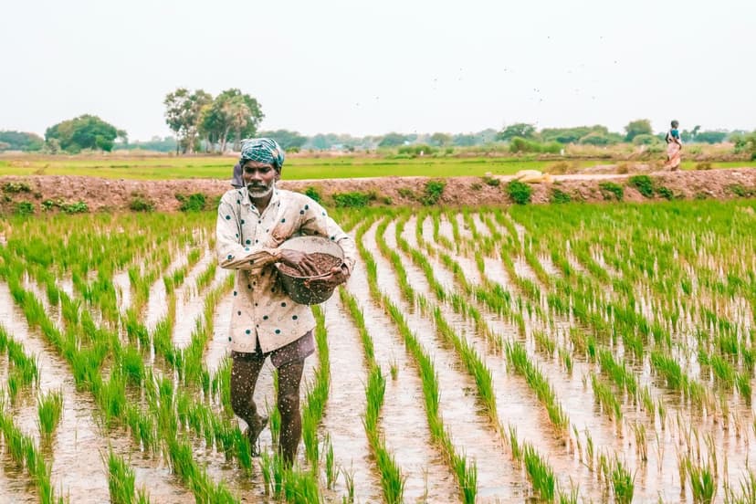 Biological, Organic and Ecological Fertilizers: Sustainable Alternativ