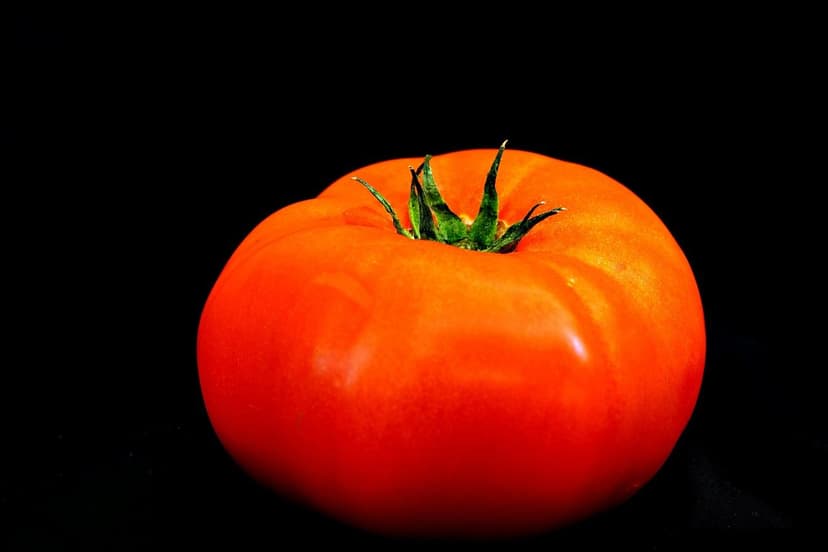 Como Corrigir a Deficiência de Nitrogênio no Tomate
