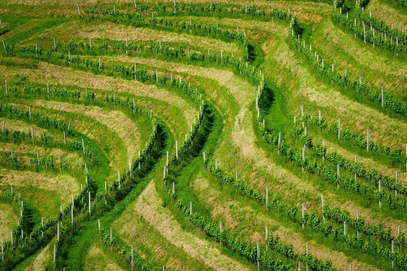 Abonos agrícolas Málaga: guía completa 2026