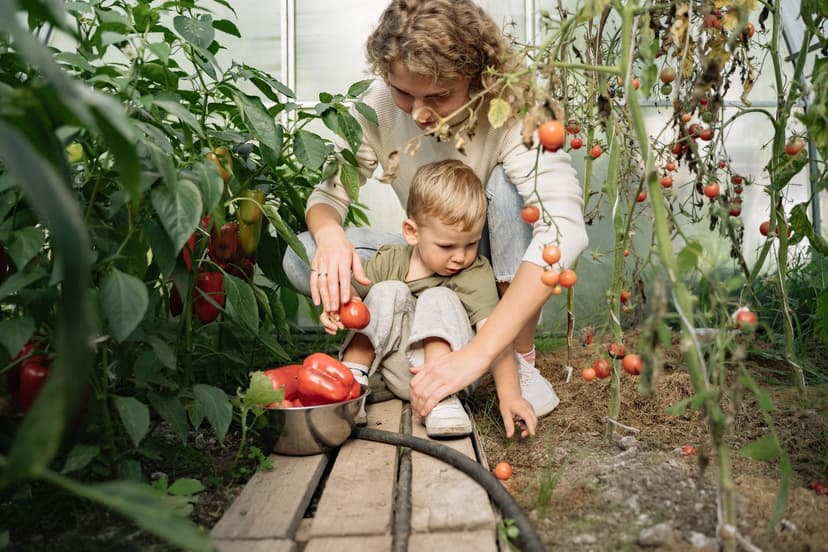 Strategie pratiche per favorire un terreno vivo nel pomodoro
