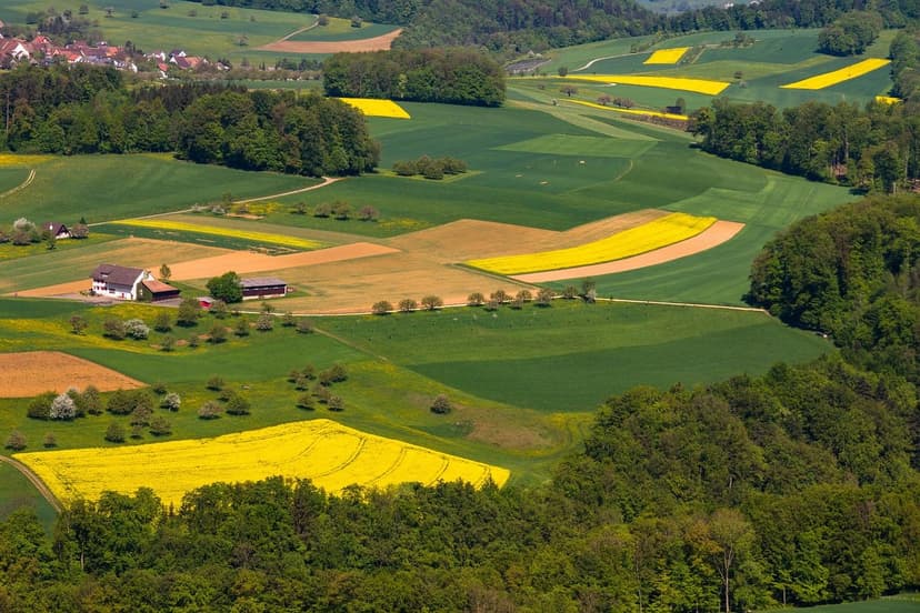 Ecoganic Revoluciona a Agricultura e Expande sua Presença na América L