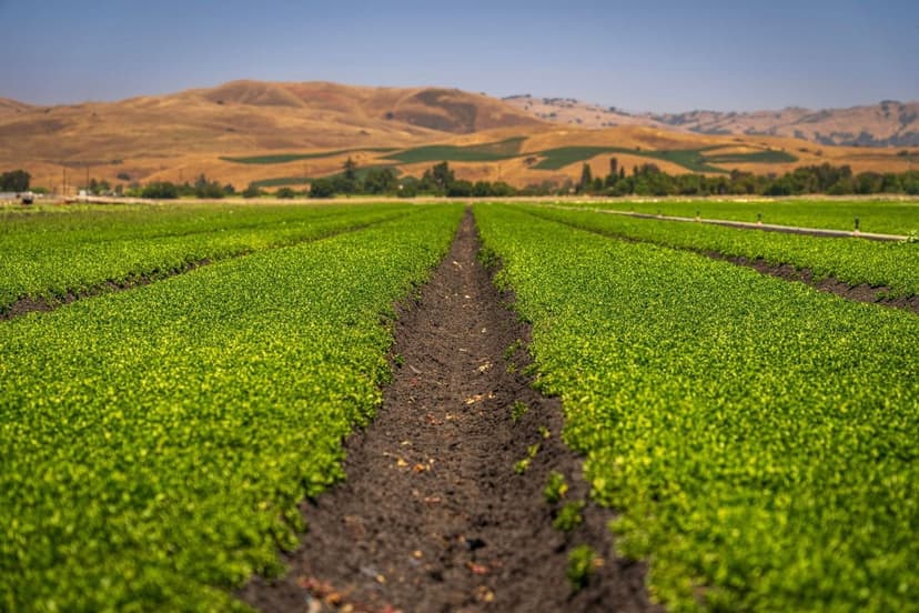 Bioestimulantes na Agricultura Ecológica na Europa