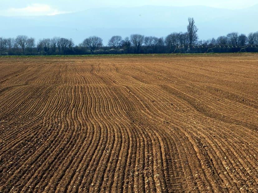 Microrganismos do Solo que Impulsionam Cultivos Agrícolas