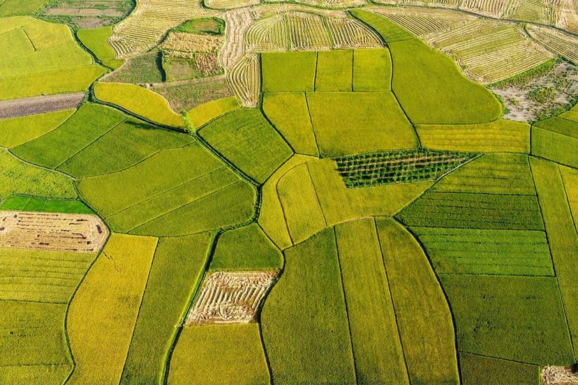 Il Futuro dei Fertilizzanti: Tendenze Globali della Biofertilizzazione