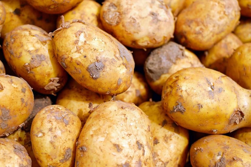 Fertilizzanti organici: migliorano la salute del suolo