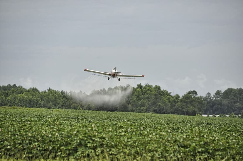 Fertilizzazione Azotata nel Peperone: Dosi e Applicazione