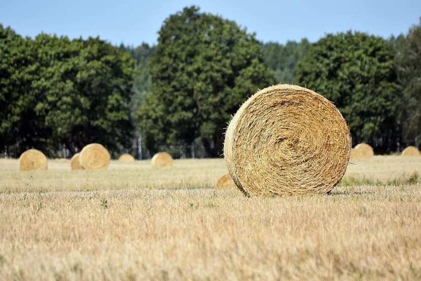 Integración de los Principios de Agroecología de Gliessman con la Gama
