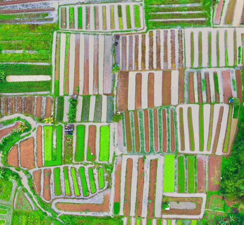 Ecological Biostimulants: Natural Growth Enhancers for Crops