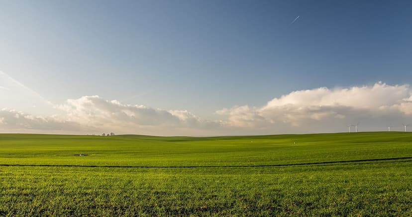 Tendances des Biostimulants : Avenir de l'Agriculture