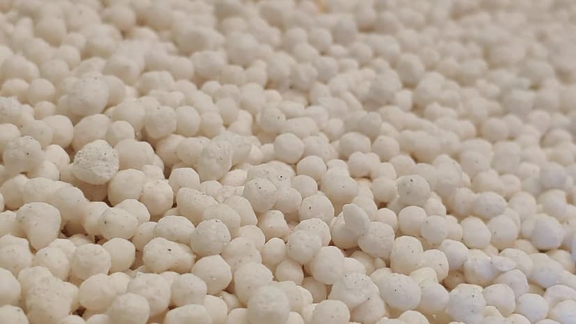 Biostimulants vs Engrais : Différences et Avantages