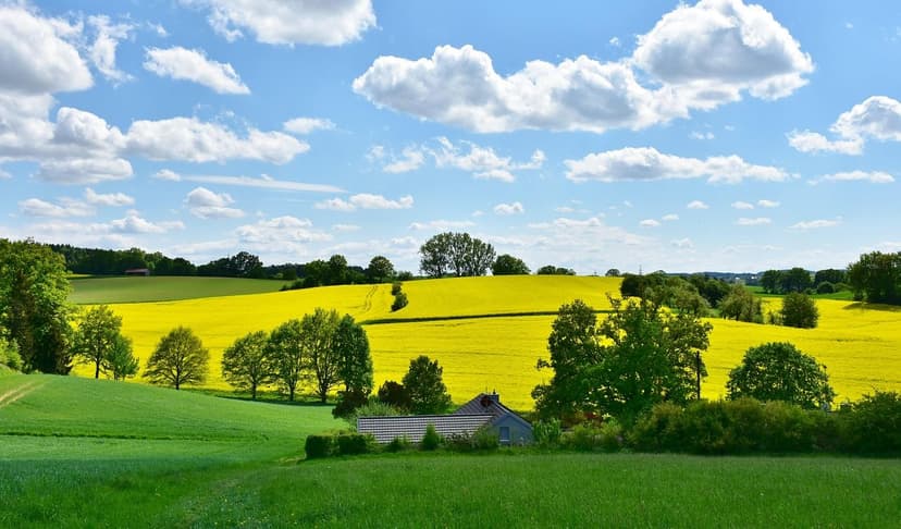 Stickstoff und Huminsäuren in der nachhaltigen Landwirtschaft