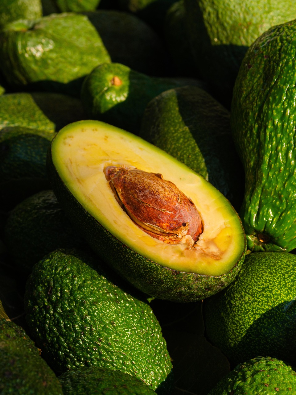 Effetti della Chlorella sulla fioritura e allegagione dell'avocado