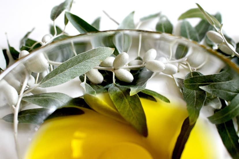 Uso de Bioestimulantes no Controle de Pragas em Oliveiras