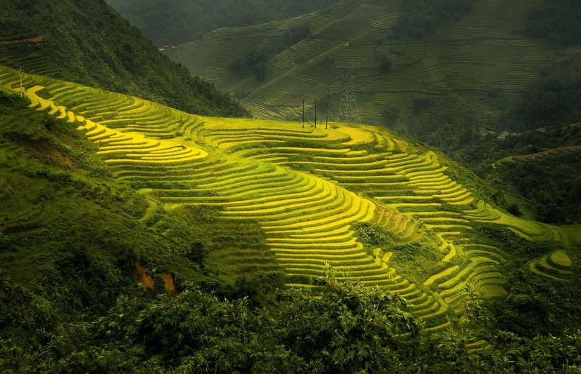 Nitrogen and Humic Acids in Sustainable Agriculture