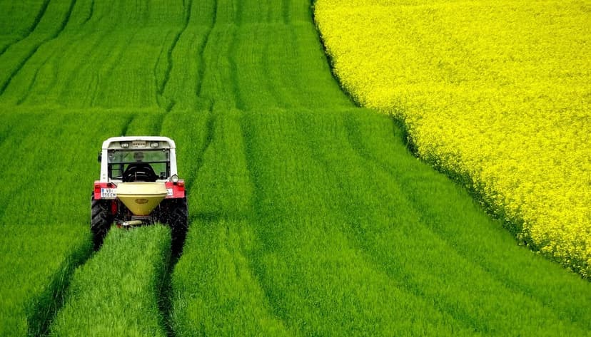 Azote Ammoniacal en Agriculture : Avantages et Application