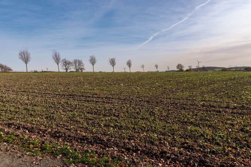 Fertilizantes agrícolas Málaga: guia completo 2026