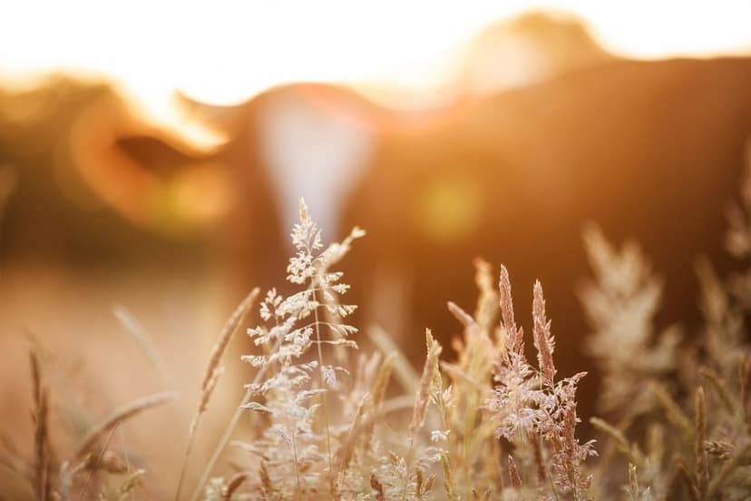 Enough lies! Biological is not ecological, and they are selling you a 