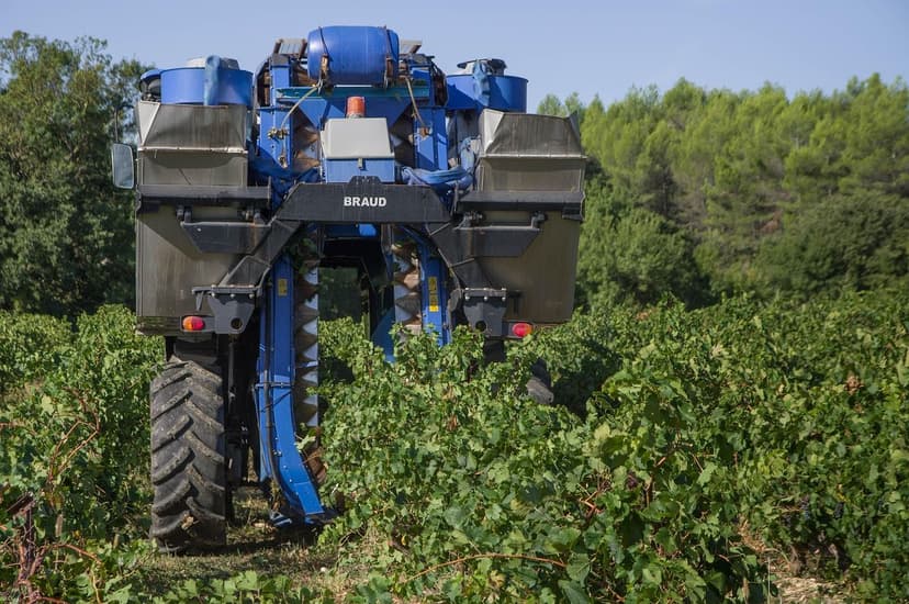 Biostimulanzien bei Tempranillo-Reben: +25 % Ertrag in Ribera del Duer