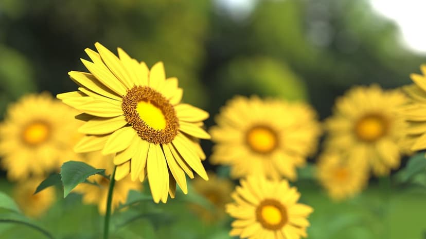 Aminoácidos y Absorción Radicular de Nitrógeno