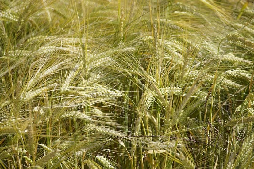 Regolamentazione Biostimolanti Europa: Cambiamenti per gli Agricoltori
