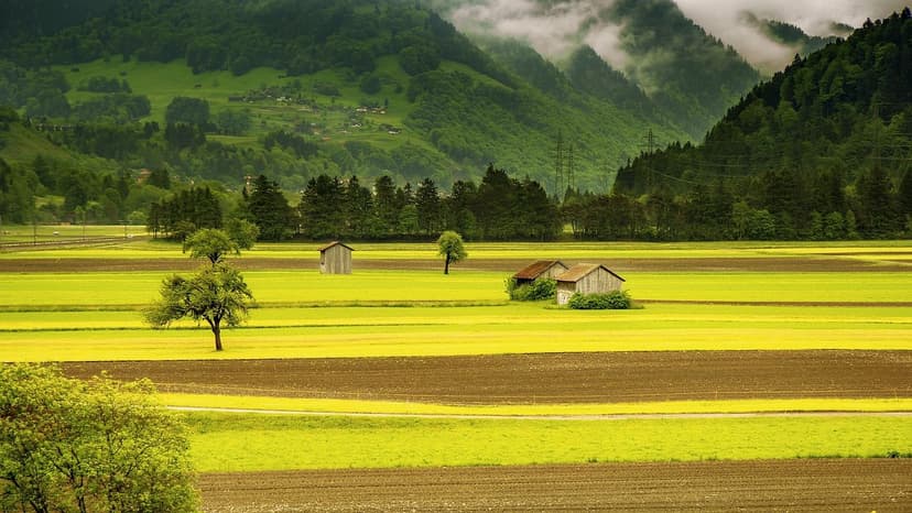 The Future of Fertilizers: Global Biofertilization Trends in Europe, L