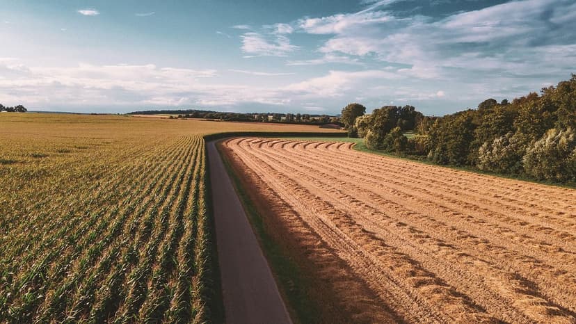 Biostimulants for Fruit Crops: Boost Your Production