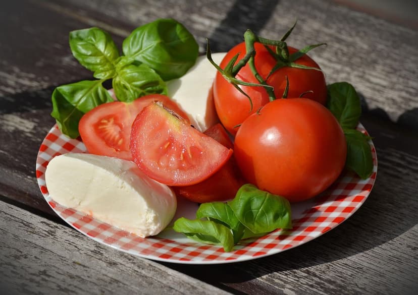 Bioestimulantes para Tomate: Aplicación y Resultados