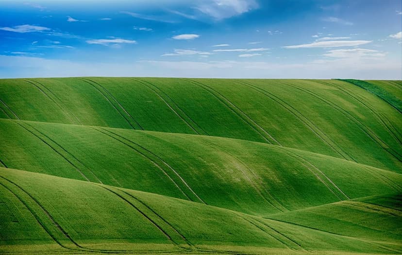 Solutions Agricoles : Une Voie vers la Durabilité