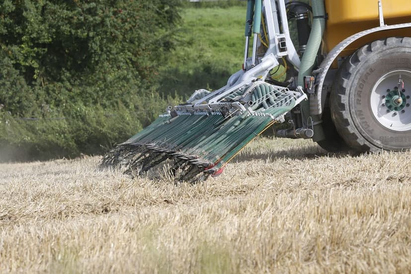 Fertilização Nitrogenada em Espinafre: Dose e Momento