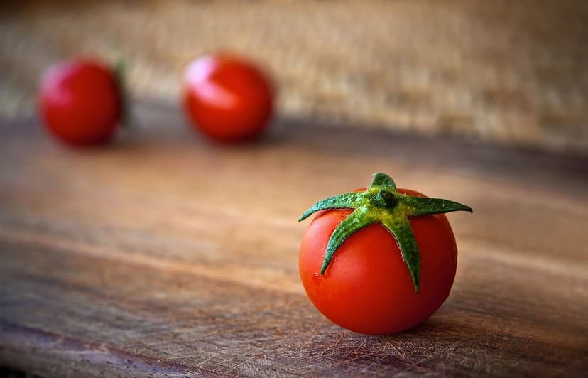 Efecto de Bioestimulantes en la Producción de Tomates