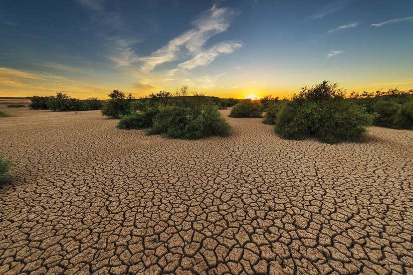 Stress abiotico negli ortaggi in serra: miti e pratiche agronomiche