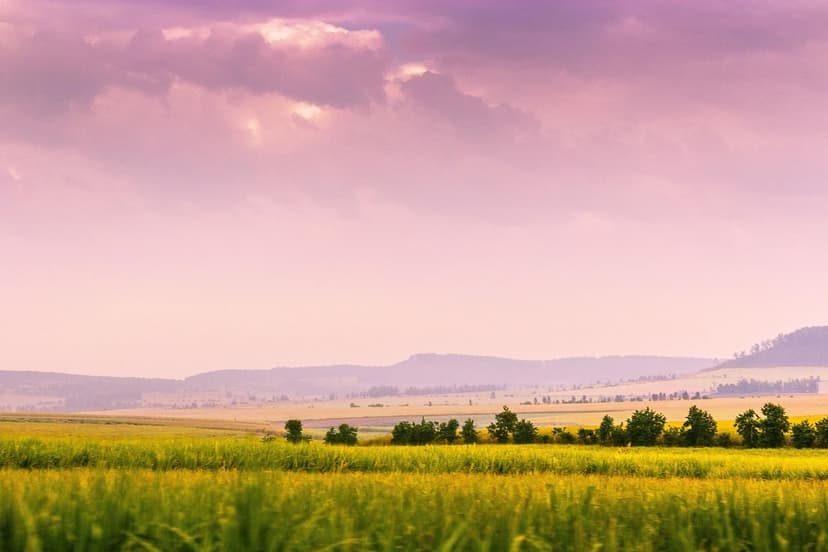Guide pratique pour l'utilisation des bioprotecteurs dans les cultures