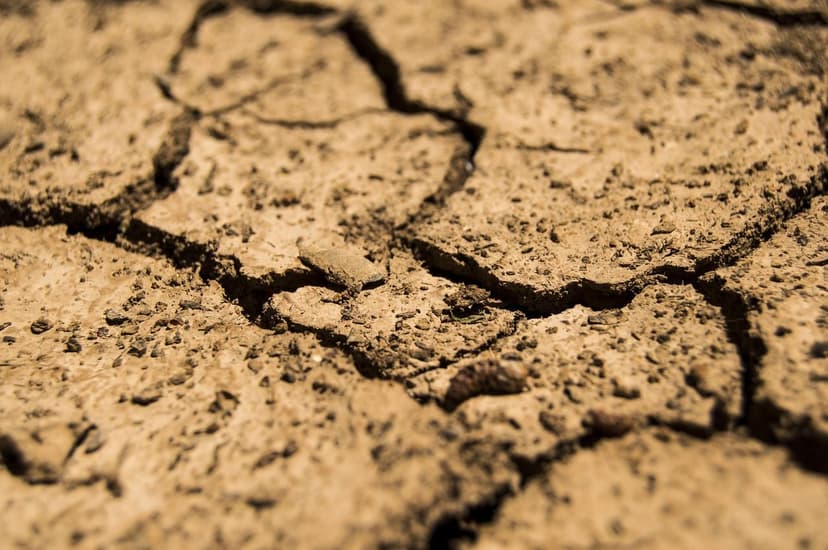 Myths and Realities of Abiotic Stress in Vegetables