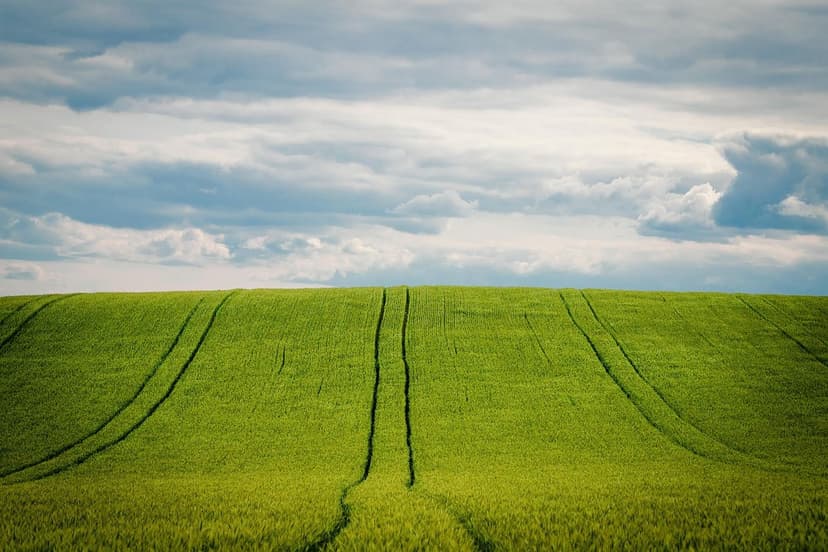 Biological, Organic, and Ecological Fertilizers: Sustainable Alternati