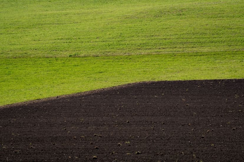 Agricultural Fertilizers Málaga: Complete Guide 2026