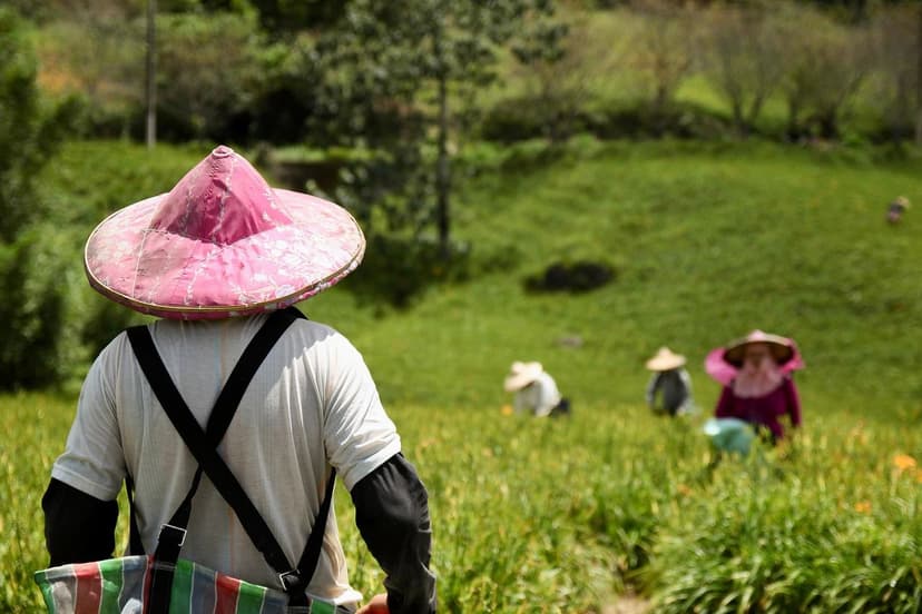 Ecoganic rivoluziona l'agricoltura ed espande la sua presenza in Ameri
