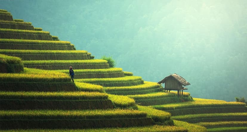 Ecoganic et la Révolution de l'Agriculture Durable
