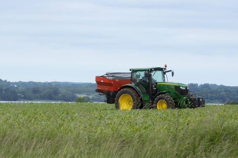 Fertilização Nitrogenada em Trigo: Dose e Momento Chave